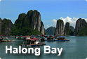 Halong Bay tours
